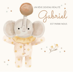 Faire-Part Naissance "Peluches Câlines"