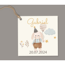 Étiquette Carrée Peluches Câlines