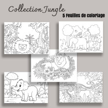 5 Feuilles à Colorier A4 OU A3 – Thème Jungle