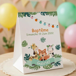 Boite animaux de la savane